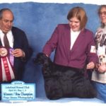 Kassidy is a new Canadian Champion! Thank you judge Ric Chashoudian and handler/co-owner Christina Harri.