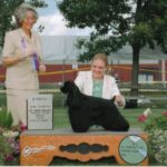 Kassidy is pictured winning a three point major to finish her American Championship. Thank you judge Mike McBeth and handler/co-owner Christina Harri.