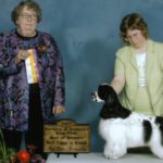 Nick is pictured here taking another 3 point Best of Winners at just 8 months of age! Thanks to judge Donna Cole.