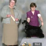 Shelby is pictured winning Best of Winners & Best Puppy in Breed as a junior puppy. Thank you judge Thora Brown.