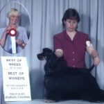 Thank you judge Leslie Belfit for Shelby's Best of Breed from the puppy class! Defeating some of Canada's top specials.