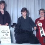 Shelby is pictured winning a Group 2nd at the Invitational Puppy Classic! Thank you judges Leanne MacIver and Sandy Orford.