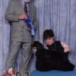 Demi is pictured here winning one of several groups, thank you to judge Tom Touzel and handler Leanne MacIver.